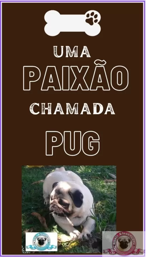 Momentos Pug