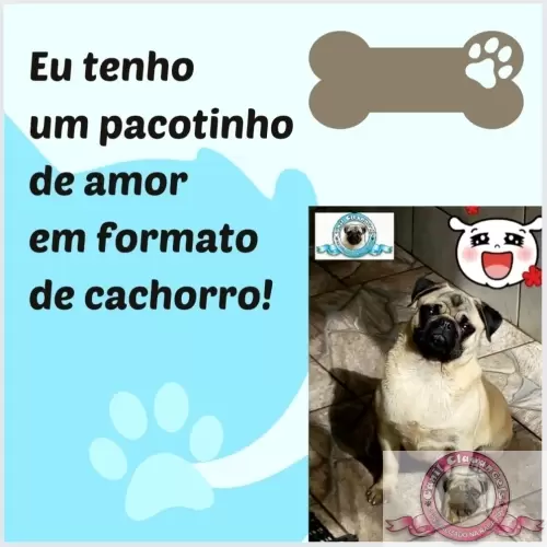 Momentos Pug