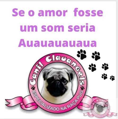 Momentos Pug