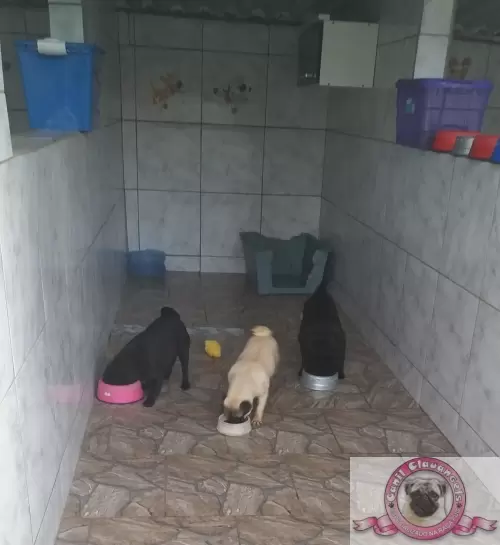 Nossas Instalações