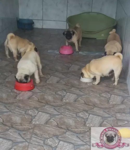 Nossas Instalações