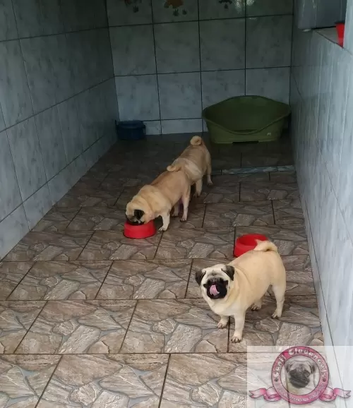 Nossas Instalações